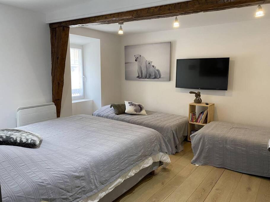 Au Grand Duc Apartment Cauterets Ngoại thất bức ảnh