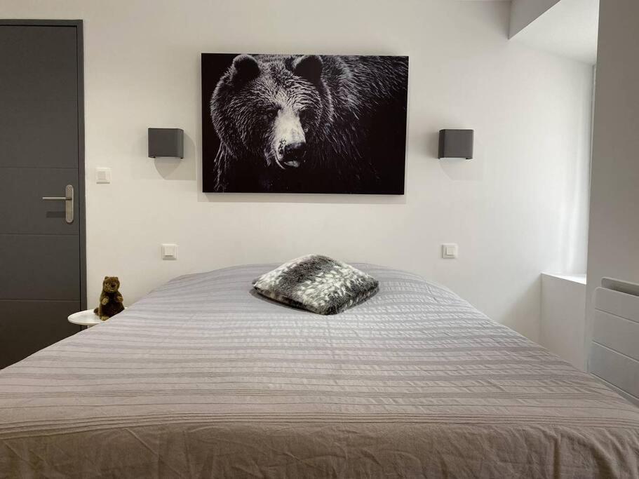 Au Grand Duc Apartment Cauterets Ngoại thất bức ảnh
